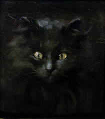 J.Adam, Portrait of a cat /  c. 1900 by klassik art