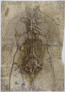 Leonardo / Frau Hauptorgane Arterien/f122r von klassik art