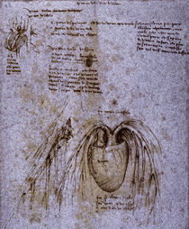 Leonardo da Vinci, Herz & Blutgefäße von klassik art