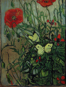 van Gogh, Schmetterlinge auf Mohnblüten von klassik art