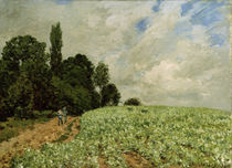 Alfred Sisley / Clover Field / Painting by klassik art