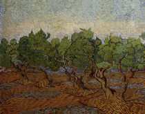 Van Gogh, Olive Grove / Paint./ 1889 by klassik art