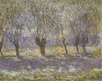 Monet / Willows in Giverny by klassik art