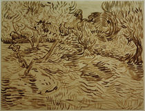 V. van Gogh, Olivenhain von klassik art