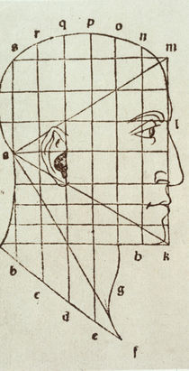 Pacioli / Proportion Study of Head by klassik art
