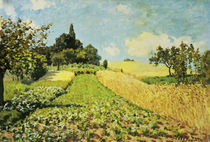 Sisley / Wheat field / 1873 (?) by klassik art