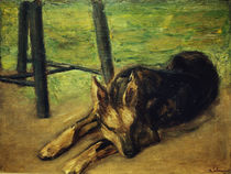 Liebermann, Schlafender Schäferhund/1914 von klassik art