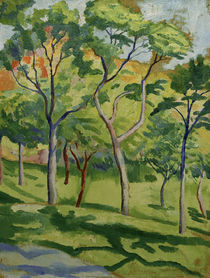 August Macke / Trees on a Meadow by klassik art