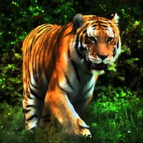 Tiger im Dschungel 4 by kattobello