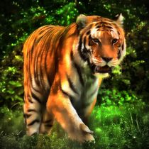 Tiger im Dschungel 3 von kattobello