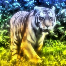 Traum Tiger by kattobello