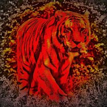 Red Tiger 1 by kattobello