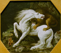 G.Stubbs, Löwe, ein Pferd attackierend by klassik art