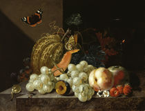 J. A. Winck, Früchtestillleben mit Weinglas und Insekten von klassik art