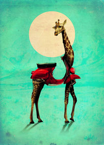 Giraffe by Ali GULEC