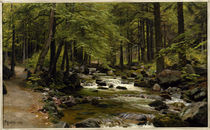 Forest Stream in Spring by klassik art