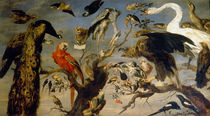 F.Snyders, The Bird Concert by klassik art
