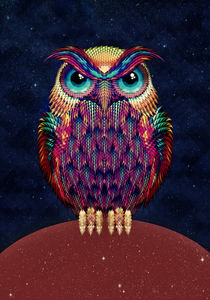 Owl 2 by Ali GULEC
