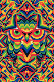 Owl 3 by Ali GULEC