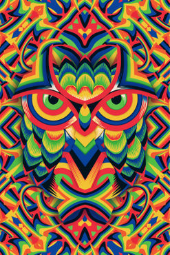 Owl-3