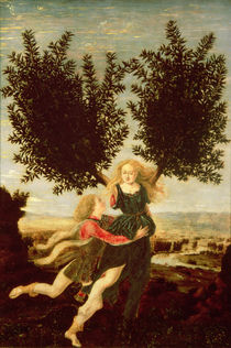 Daphne and Apollo, c.1470-80 von Antonio Pollaiuolo