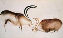 Male and female deer, Magdalenian school by Paleolithic