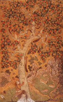Johnson Album I, No.30 Squirrels on a plane tree von Abu'l Hasan