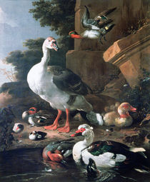 Waterfowl in a classical landscape by Melchior de Hondecoeter
