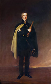 Arthur Wellesley Duke of Wellington by Spiridione Gambardella