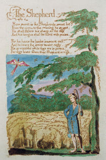 The Shepherd, from Songs of Innocence von William Blake