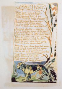 The Tyger, from Songs of Innocence von William Blake