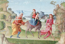 Flight into Egypt, 16th century by Marco Meloni