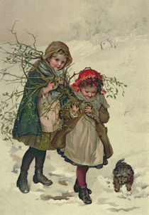 Illustration from Christmas Tree Fairy von Lizzie Mack