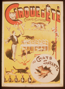 Poster advertising the Cirque d'Ete in the Champs Elysees von French School