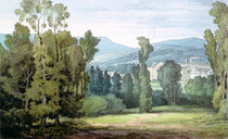Dulverton, Somerset, 1800 von John White Abbott