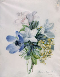 Anemone, wisteria and laburnum by Marie-Anne