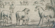 Mares and Foals, 17th century by Francis Barlow