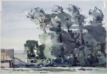 Trees - Dawn von Harry Becker