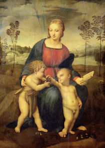 Madonna of the Goldfinch, c.1506 by Raphael