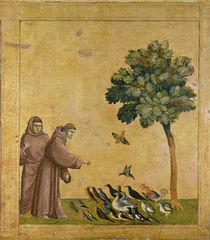 St. Francis of Assisi preaching to the birds by Giotto di Bondone