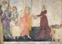 Venus and the Graces offering gifts to a young girl von Sandro Botticelli