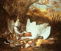 Still Life of Swan and Game in a Landscape von Jan de Wit