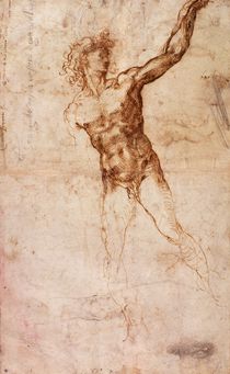Sketch of a Nude Man von Michelangelo Buonarroti