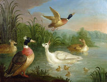 Ducks on a River Landscape von Marmaduke Craddock