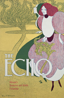 Front cover of 'The Echo' by William Bradley