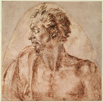 Study of Head and Shoulders von Michelangelo Buonarroti