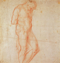 Study of a Nude by Michelangelo Buonarroti