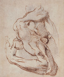 Study of an Arm Inv.1859/5/14/819 von Michelangelo Buonarroti