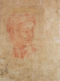 Study of a Head von Michelangelo Buonarroti