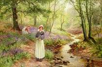 The Bluebell Glade by Ernest Walbourn